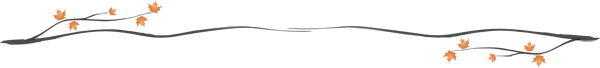 separador3.png